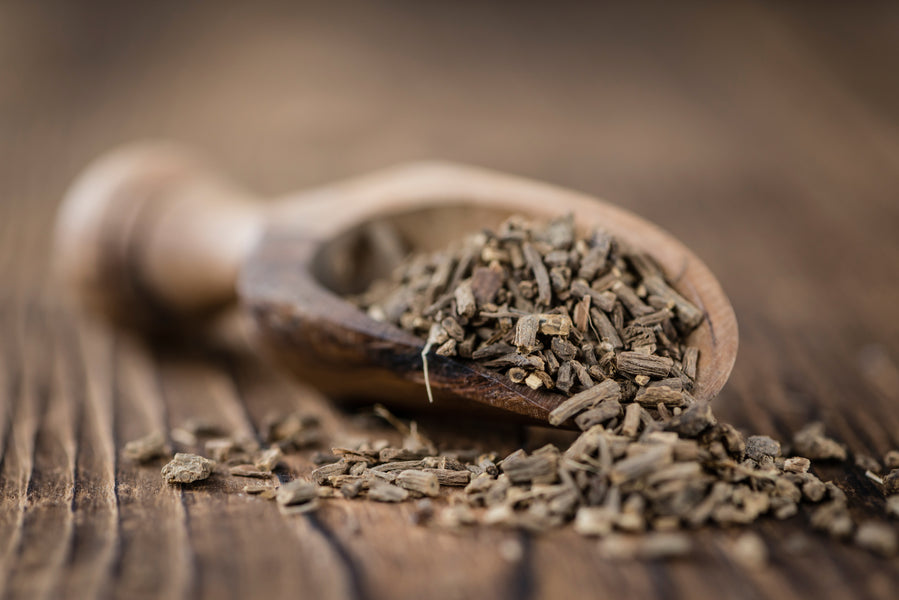 Valerian Root is a Natural Way to Stimulate Better Sleep