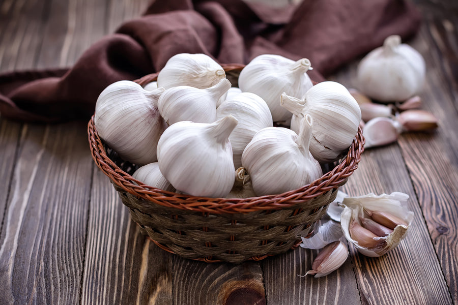 Cheers to Garlic: Delicious, Nutritious and Superstitious!