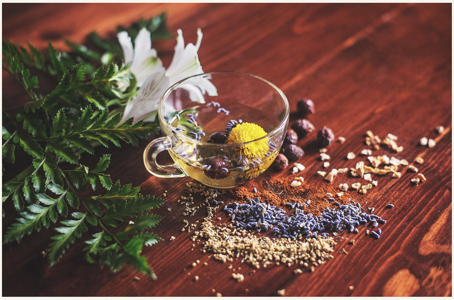 Find Reasons to Make Ayurvedic Herbs Part of Your Diet