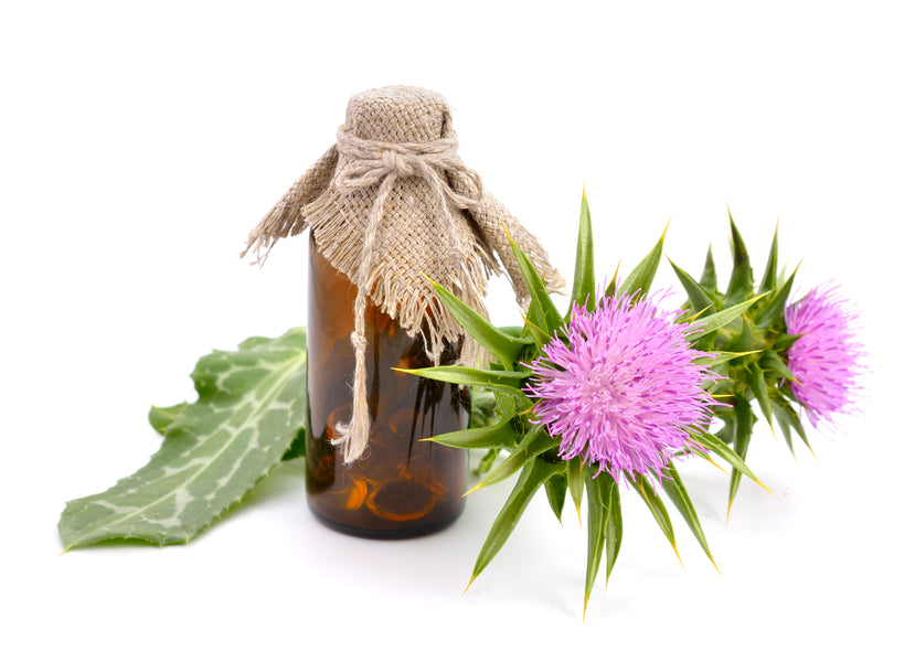 Living With Diabetes? Milk Thistle is a Must-Add Supplement