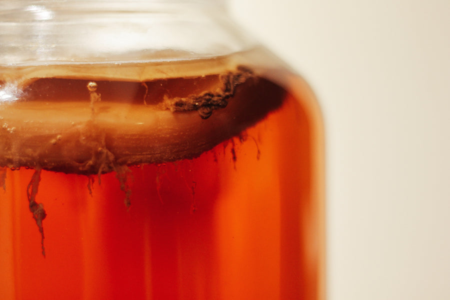 Get the Scoop on Kombucha and Why Wellness Advocates Love it!